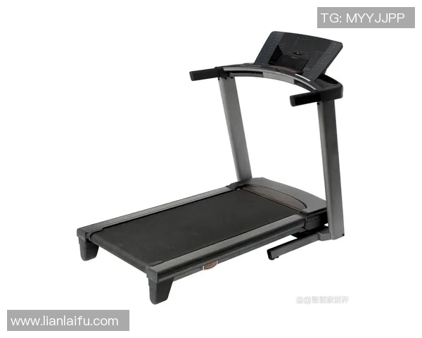 广州健身器材购买指南推荐适合你的健身器材商店和在线平台