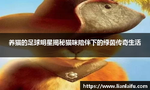 养猫的足球明星揭秘猫咪陪伴下的绿茵传奇生活
